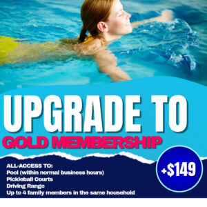 Black Friday upgrade to Gold promo